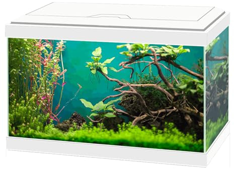 ASKOLL Acquario Aqua 20 bianco 40x20x31 con led e filtro 17 litri