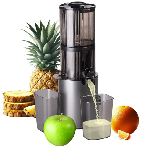 Rosenstein & Söhne Kaltentsafter: Elektro-Ganzfrucht-Kalt-Entsafter, 800ml, Rücklaufgang, 60 U/min, 200W (Slow Juicer, leise Entsafter, Mixer)