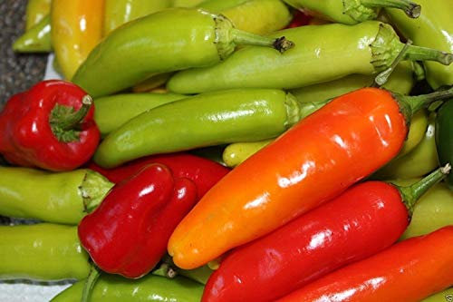 vegherb Poivron hongroise Douce Cire - Poivron Jumbo, 1000 Graines Heirloom