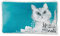 NICI 48092 Kissen Katze Meowlina 43x25cm, TÜRKIS