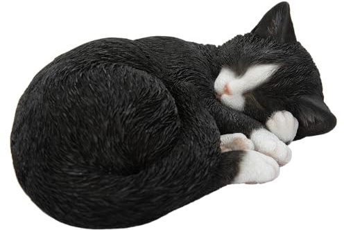 Vivid Arts - Schlafende Katze schwarz & weiß - XRL-ZC35-D