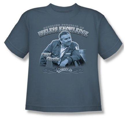 Cbs - Fountain Of Knowledge Youth T-Shirt In Slate, X-Large (18-20), Slate