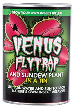 Kenzies Direct Grow Your Own Venus Flytrap Childrens Kids Gardening Garden Loves Lover Kids Novelty Boys Girls Christmas Xmas Birthday Top Selling Gift Present Stocking Filler
