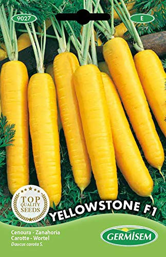 Germisem Yellowstone F1 Carota 300 Semi