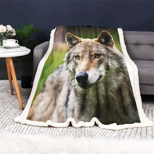 FABTOP Wolf Decke 150x200 cm Wölfe Kuscheldecke Flanell Decke Wölfe Fleecedecke 3D Drucken Wald Wild Tier Wolf Flauschig Decke Wolfsmuster Decke Sofadecke Tagesdecke (2,130 x150 cm)