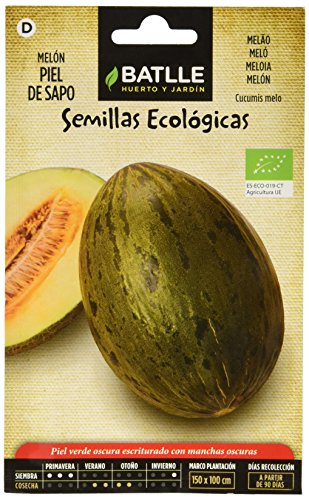 Graines Bio de Batlle - Melon peau de Crapaud (70 graines)