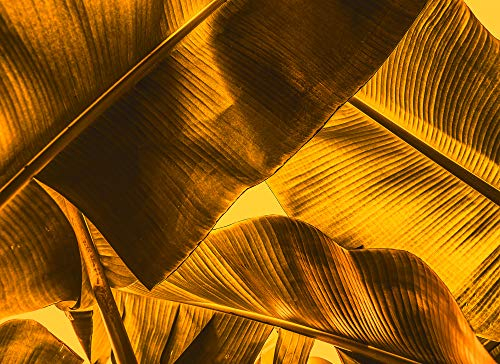 Livingwalls Fototapete Designwalls Vliestapete Broken Leaf Tapete in Natur Optik in Braun, Bronze, Gelb, Gold 350 x 255 cm XXL Wandtapete Wandbild 118554