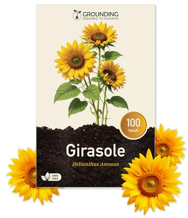 Grounding - Semillas de Girasol Enano Amarillo dorado, 100 semillas, altura 40–60 cm - Helianthus annuus es ideal para borduras, parterres y macetas grandes - siembra fácil - Calidad Europea