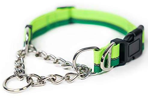 Mighty Paw Martingale Dog Collar 2.0 | Trainer Approved Limited Slip Collar with Stainless Steel Chain & Heavy Duty Buckle - Modified Cinch for Gentle & Effective Pet Training - Large, Green