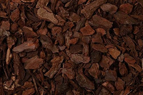 Essex Reptile Coarse Orchid Bark - 5 Litre - Reptile Bark Substrate