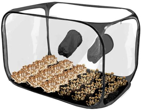 Pilz-Zucht-Set – Pilzzuchtraum Stillluftbox | Pilzzuchtbeutel | Pilzzuchtraum | Pilzzuchtraum | Pilzstilluftbox | transparenter Pflanzsack Pilzzelt | Kolapsible Pilzzucht