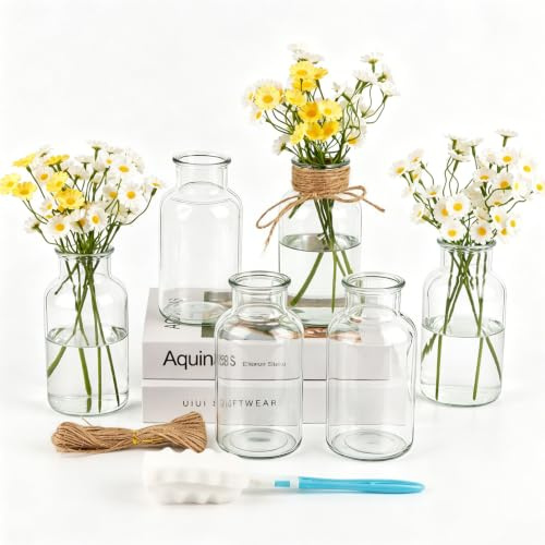 PINIWON Set of 6 Clear Bud Vases, Vintage Small Glass Vases