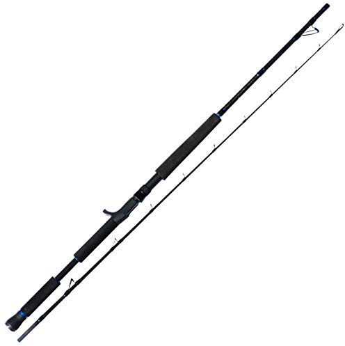 Eisele Bootsrute Thrill 2,15m 15-40lbs für Multirolle - Meeresrute, Angelrute zum Meeresangeln, Steckrute