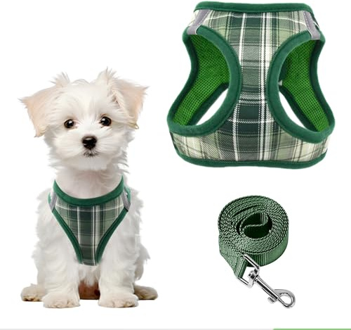 PawSailor sele för liten hund - Antidrag - I supermjukt nät - Kareband - Reflekterande sele för katt - Chihuahua - Grön - Storlek XXS