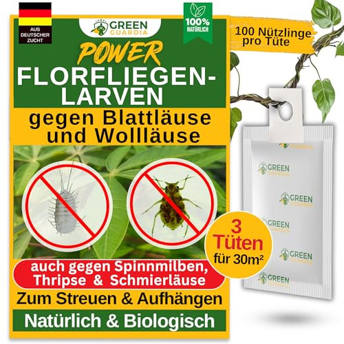 GREEN GUARDIA Power larve di mosca contro afidi e pidocchi di lana. 3 sacchetti. Agente biologico per efficace lotta contro afidi e pidocchi di lana.