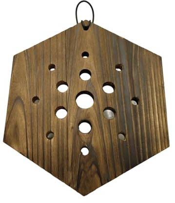 Shntig Fioriera esagonale in legno da parete, decorazione verticale da giardino, per felce Staghorn, pianta da interno, nessuno strumento ha bisogno di risparmiare spazio, decorazione per casa e