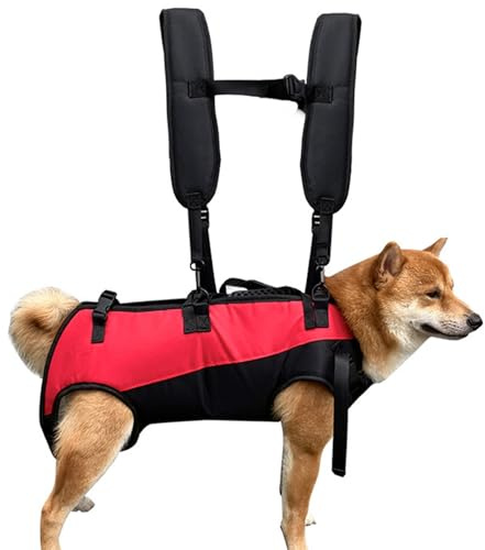 Transportador para Perros, Elevador de Cuerpo Completo con Asas
