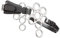 Zilco Hackamore, Blume