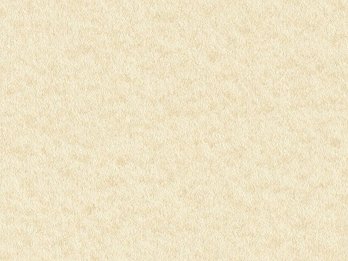 A4 Cream Craft Creations Mottled Parchment Effect Card - 200gsm 300mic Rough Textured Card Stock - Parch Marque (50)