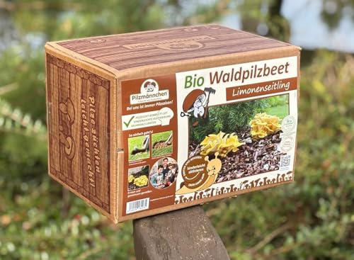 Bio Limonenpilz Waldpilzbeet - Pilze selber züchten