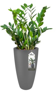 Elho Pure Soft Round High 30 - Blumentopf - Anthrazit - Drinnen & Draußen - Ø 29.5 x H 53.2 cm