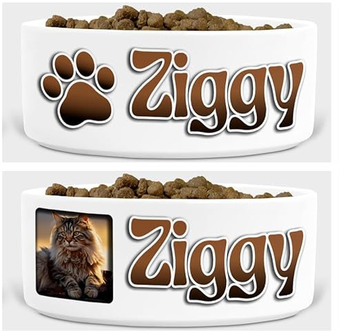 Personalised Cat Bowl – Custom Pet Name, Photo & Colour Options – Ceramic Food/Water Dish – 3D Style – Multiple Fonts & Layouts