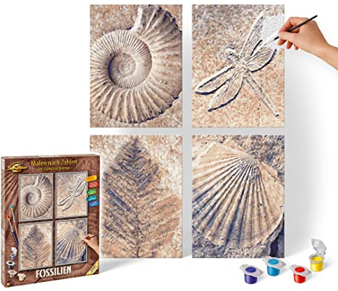 Schipper 609340876 Malen nach Zahlen - Fossilien - Bilder malen für Erwachsene, inklusive Pinsel und Acrylfarben, Quattro je 18 x 24 cm