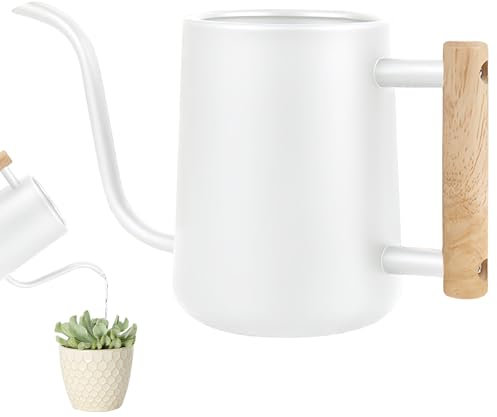 WANDGU Annaffiatoio in acciaio inox da 1 l con manico in legno, annaffiatoio per piante d'appartamento, piccolo vaso di irrigazione moderno per piccole piante in vaso e fiori da appartamento piante