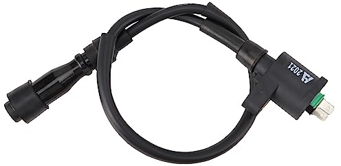 WOOSTAR Zündspule Ersatz für Helix CN250 Elite CH250 Roketa Hammerhead Chinesisch ATV 4 Wheeler CF250 Roller