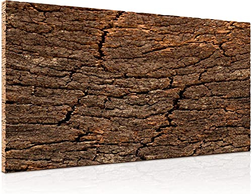 3D - Korkrückwand AUS EINEM STÜCK Kork-Rinde 60x30 cm | gereinigt & desinfiziert | Naturkork-Rückwand für Terrarium, Paludarium, Aquarium