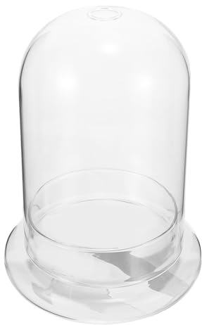 Warmhm Cloche de Présentation Verre Transparent Cloche pour Micro-Paysage Support pour Plantes Terrarium Verre Vase Décoratif