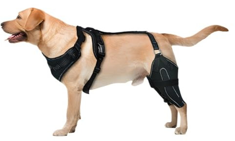 Kniebandage, Kniebandage für Hunde, Rückenbein, verstellbare ACL-Bandage, Hundepflege, CCL Stützbandage, Hunde-Hinterbein-Bandage für Hunde, gerissenes ACL-Hinterbein