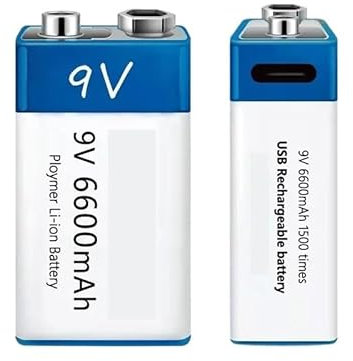 SXYKXYDL Batterie Lithium-ION 9 V 6 600 mAh, Charge Rapide, Interface USB, 9 Microphones, Jouet + câble (6 600 mAh, 8 pièces)