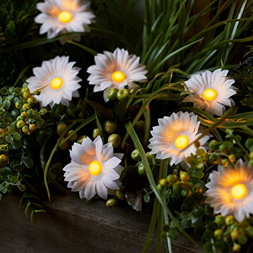 Lights4fun 12er LED Solarleuchte Gänseblümchen Solar warmweiß Muttertagsgeschenk