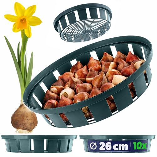 KADAX 10 st 2 former plastkorgar för vårblomning 23 cm rund rund 23 cm rund