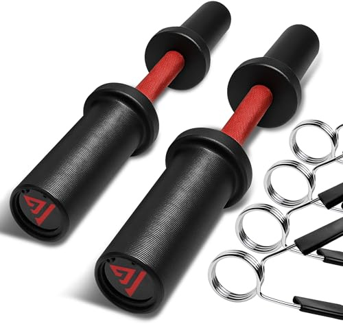 16 Olympic Dumbbell Handle, Loadable Dumbbells for 2-inch Olympic Weight Plates, Dumbbell Bar for Home Gym Strength Training, 2 Pair of Spring Collars Included