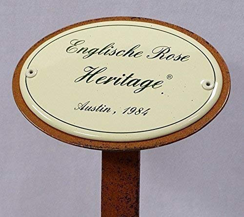 linoows Rosenschild Rosenstecker Emaille, Englische Rose Heritage, Austin 1984