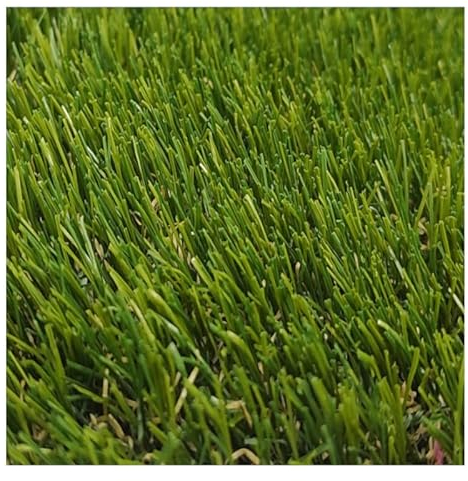 Rollo de Césped Artificial de 25 mm (1_X_2_Metros)