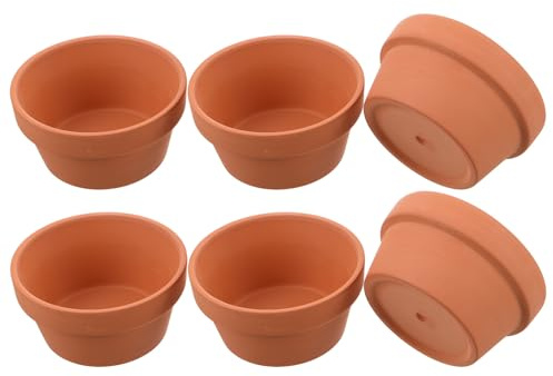 Yardenfun Lot de 6 Mini Pots en Terre Cuite Rouge Pots en Céramique 11X6 CM pour Succulentes et Cactus et Absorbants d 39 Humidité Jardinières Rustiques d 39 Intérieur et Extérieur