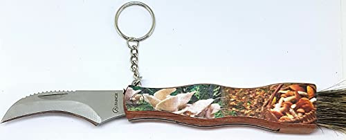 armeriaonline Cuchillo de setas con cepillo cuchillo para recoger setas, porches, trufas con hoja de acero inoxidable con funda