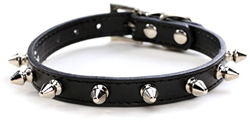 haoyueer Hundehalsband aus Leder, mit Nieten, Pilze, Nieten, Katzenhalsband für kleine mittelgroße Hunde, Katzen, Welpen, Kitty (S, Schwarz)