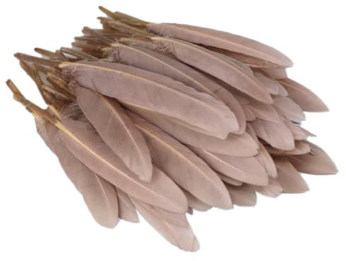 Anevous 200 Stück Federn, Federn zum Basteln Federn Lang Bastelfedern zum Karnival Dekoration, Feder Deko für DIY Basteln, Traumfänger, Hochzeit Deko, Kopfschmucksfedern Ohrring,Braun