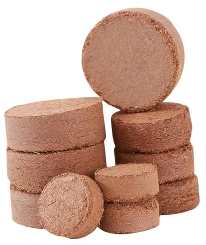 ANDRESLAD 60pezzi Comprimibile Per Piante Nutriente Per Giardinaggio Per Cactus e Piante Da Appartamento Facile Da Usare e Assorbente
