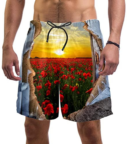 WOSHJIUK Herren-Shorts,Badehose,schnell trocknend,Tür-Sonnenuntergang-Blumen-Feld,Board Short Outdoor Walk Beach Bademode