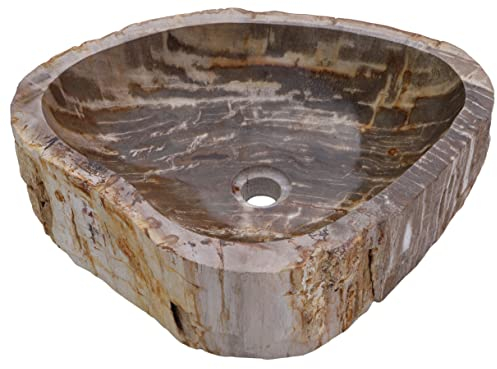 GURU SHOP Massives Fossiles Holz Aufsatz-Waschbecken, Waschschale, Naturstein Handwaschbecken - Modell 4, 15x50x40 cm