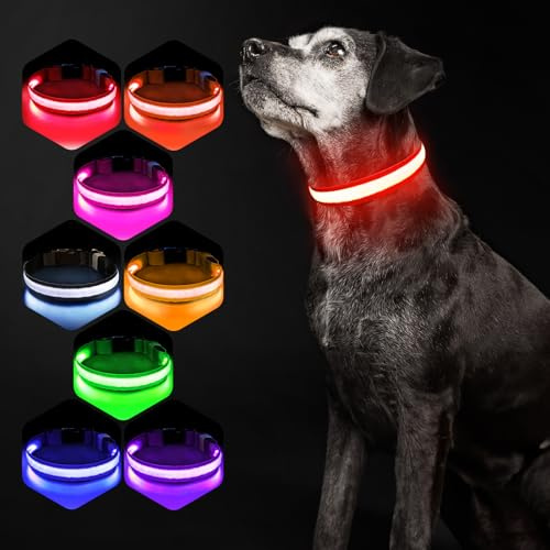 Hundehalsband Leuchtend USB Aufladbar - Leuchthalsband Hund 7 RGB Farbwechsel mit 8 Leuchtmodi, Dickes Verstellbares LED Hundehalsband Wasserdicht für Kleine Mittlere Große Hunde Leuchtendes Halsband