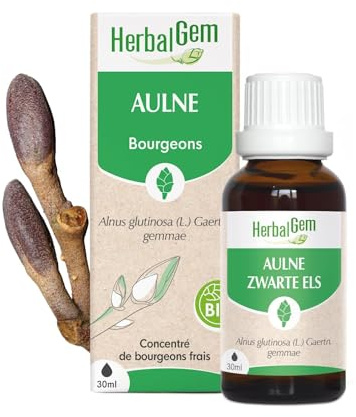 HerbalGem Macérât-Mère Aulne Bio 30 ml | Pousse dans les zones humides, aide à soutenir le drainage de l'organisme. Vegan. Extrait de bourgeon frais.