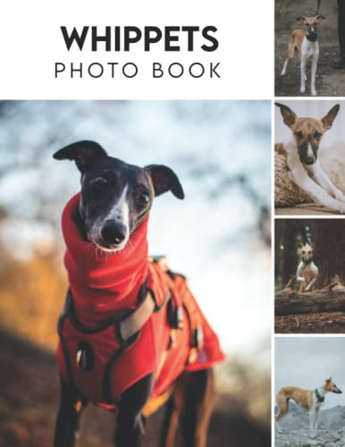 Photo Book Of Whippets: Whippets Picture Book For Photos With 30+ Pictures Photos, 2023 Photobook Photography Christmas Gifts For Men Women Mom Dad