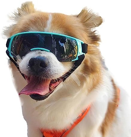 Sonnenbrille für Hunde – UV-Schutzbrille für kleine bis mittelgroße Rassen, Motorradbrille für Hunde, winddicht, beschlagfrei, staubdicht, schneefest, für Aktivitäten