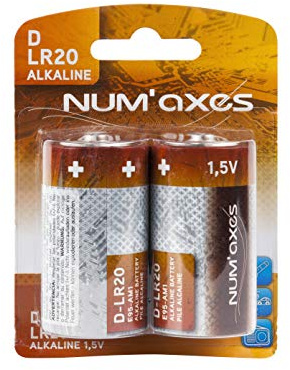 Blister 2 Piles D LR20 alcalines 1,5 V